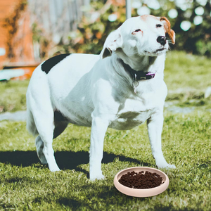 Comedero de Silicona para Perros, Anti-Asfixia, Antideslizante, OEM - Product Image 2