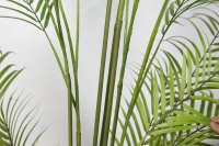 180cm Pygmäen Datum Palm Faux Palm Baum Künstliche Pflanzen Bäume Indoor Dekoration