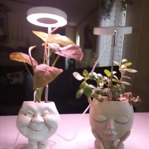 1 Lámpara de Cultivo LED de Espectro Completo para Plantas de Interior, Altura Ajustable con Temporizador de Encendido/Apagado Automático, 4 Niveles de Intensidad - Product Image 6