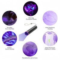 Lampe de poche ultraviolette Lentille de filtre noir USB Lumière noire Tache pour animaux de compagnie Punaise de lit Détecteur d'argent minéral Blacklight 365NM Lampe de poche UV