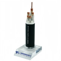 Câble d'alimentation solaire souterrain ZC-YJV 0.6/1kV 4x50mm2 en cuivre XLPE pour connexion au réseau d'énergie renouvelable