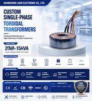 Transformateur toroïdal monophasé à dérivation centrale pour éclairage public LED, 2000 VA, 110 V, 0 V, étanche IP67, à noyau de ferrite