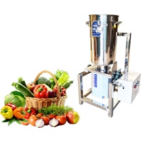 3KW 220V Multifunctionele pulpverwerkingsmachine voor chili, aardappel en tomaat, industriële automatische groentesnijder