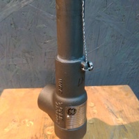 Válvula de Seguridad Consolidada Serie 1900, Válvula de Control, Válvula de Seguridad Consolidada 1900 1905 1910 1912 1990, Precio