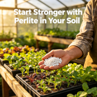 Granulés de perlite expansée poreuse, blanc pur, légers, 1-3 mm, qualité horticulture, amendement du sol hydroponique, aération, drainage