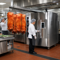 Four à rôtissoire professionnel avec arrêt automatique de sécurité, tables latérales pliables, outil de rôtissage, conception avec trous de ventilation, qualité supérieure pour restaurants