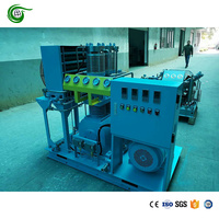 Compresor de Pistón de Hidrógeno H2 Fabricado en China, Completamente Libre de Aceite, Bajo Costo de Mantenimiento, Entrada 4 Bar, Salida 50 Bar, Flujo 30 Nm3/h