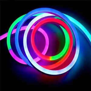 Smd5050 RGB SPI Pixel WS2811 Endereçável Dmx 512 Outdoor Paisagem Decoração Fita 10x20mm IP68 LED Neon Light Strip