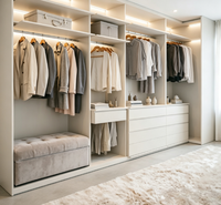 Système de dressing ouvert moderne sur mesure avec armoire intégrée et éclairage LED pour dressing