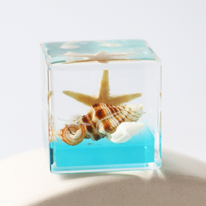 Prensapapeles de Resina Acrílica con Animales Marinos en su Interior, Cubo de 4 cm, Concha, Estrella de Mar, Caballito de Mar, Decoración, Adornos de Escritorio - Product Image 1