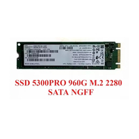 Hard Drive Penyimpanan NAS 5300 PRO 240G 480G 960G M.2 2280 SSD SATA 6Gb/s Kelas Enterprise untuk Drive Boot Server