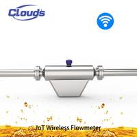Medidor de Flujo Másico Coriolis Inalámbrico Inteligente Clouds, Conectividad 4G NB-IoT LoRA, Gestión de Datos Basada en la Nube, Control Remoto, IP65