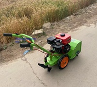 Prix EXW - Petite motobineuse thermique 170 cm³ poussée à la main pour le désherbage des maïs et des légumes