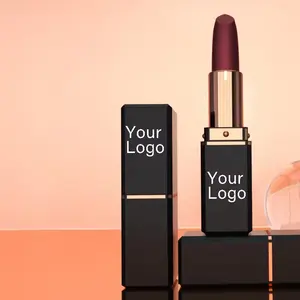 Membuat Anda sendiri merek OEM Label pribadi lipstik kustom Matte 16 warna tahan lama tahan air matte lipstik