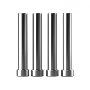 Chết đấm <span class=keywords><strong>Pin</strong></span> tiêu chuẩn đấm skd11 cứng t-loại hình trụ thanh kim loại chết dập lỗ các bộ phận - Product Image 2