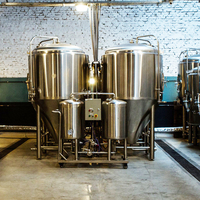 5HL 10HL 15HL 20 30HL, fermenteurs coniques pour bière artisanale personnalisée, réservoir de fermentation en acier inoxydable 304 316