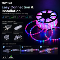 Toprex Custom 13mm DMX RGB Smart LED Flat Rope Light IP65 Waterproof 3-Wire for Commercial Outdoor Projects Wholesale
