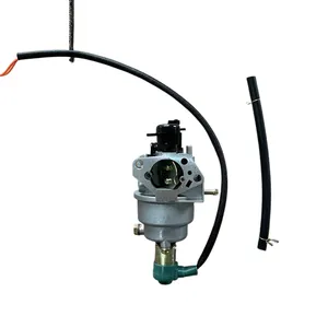 Homelite HG6000 HG5000 HGCA4500 HGCA5000 HGCA7000 generatori motori carburatore 4500 5000 6250W generatore benzina parti