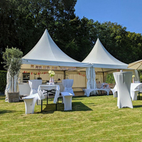 Tente Pagode 5x5m avec Bâche PVC Transparente, Conception Modulaire, Toit Pointu pour Activités Extérieures et Expositions
