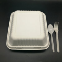 Boîte alimentaire en bagasse biodégradable, type clamshell, 8 pouces, 9 pouces, avec compartiment