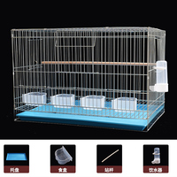 Cage d'élevage extra-large en métal électrogalvanisé à double compartiment, avec conception anti-évasion, pour tigres, barbets et paons