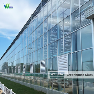 Vidrio para Invernadero Multitipo (Templado/Laminado/Aislado), Servicio de Personalización Completa - Product Image 2