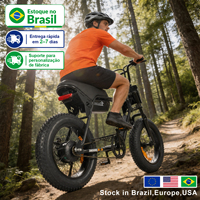 Vélo Électrique Urbain ZUMI US Brésil 750W à Batterie Lithium pour Adultes, Longue Autonomie, Vélo de Pendulaire, Fournisseur B2B en Gros, OEM ODM