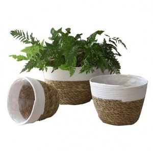 Cesta de Mimbre para Jardín, Cesta de Lavandería para Baño Pequeño, Cestas de Regalo de Bienvenida, Tipo Moisés, Baúl Tejido a Mano - Product Image 6