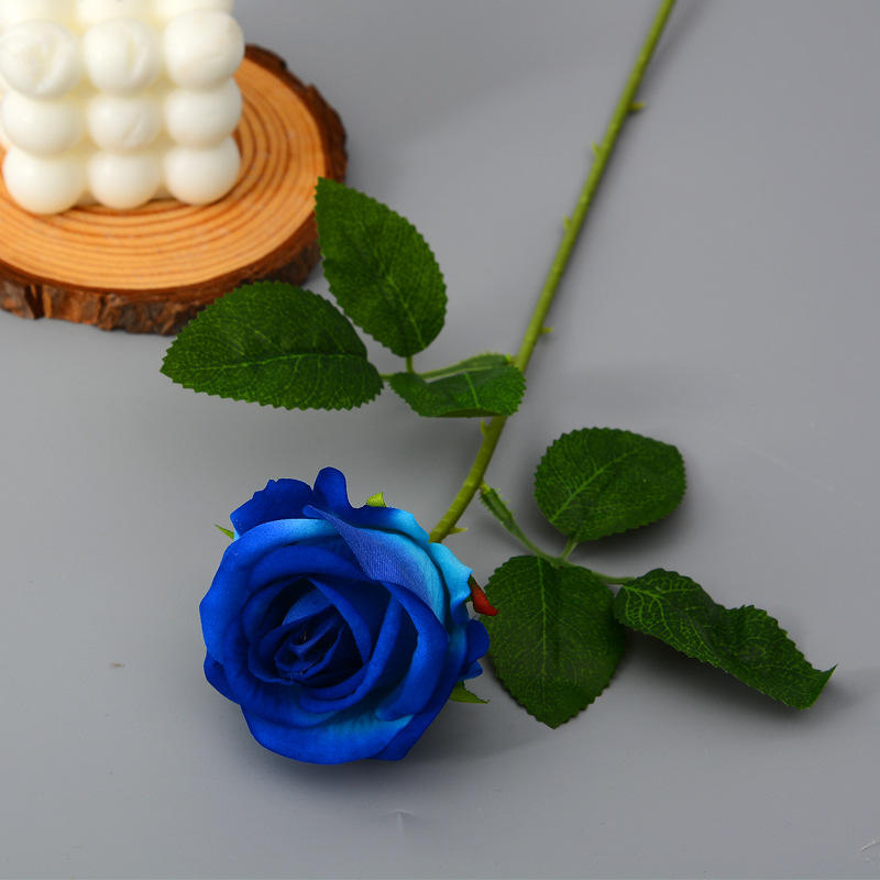 Petit velours bleu