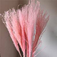 Fleurs séchées naturelles de queue de cheval, petite herbe de la pampa pour la décoration de mariage et de la maison, pour Noël, la Saint-Valentin, Pâques