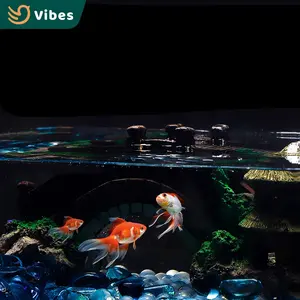 Wholesale Square Shape High Transparent Modern Home Aquariums Fish Tanks For Home Living Room Coffee Table
