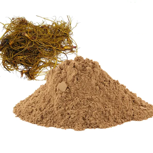 Polvo de Raíz de Golden Seal Premium, Grado Alimenticio, Finamente Molido, Polvo de Raíz Herbal Natural para Té de Hierbas, Mezclas Botánicas Tradicionales - Product Image 1