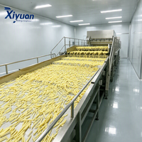 Ligne de production complète de frites surgelées de 500 kg/h avec contrôle intelligent PLC pour usine de transformation de frites