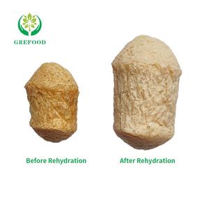 Grande fibra TVP pezzi di proteine vegetali testurizzate di alta qualità con glutine testurizzato proteine di soia a basso contenuto di grassi cibo vegetariano - Product Image 2