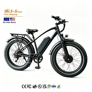 Vélo à double moteur au lithium 48V 18Ah, pneus larges, tout-terrain, suspension étanche, 25 km/h T6 T6 - Product Image 1