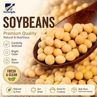 Soja jaune de qualité supérieure, grains entiers propres pour la production de tofu et de lait de soja, fournisseur en gros en Chine