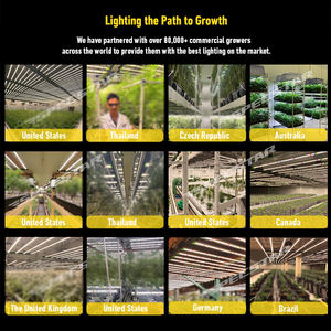 โคมไฟ LED 4by4โตแบบหรี่แสงได้สำหรับพืชในร่มโซ่เดซี่แบบเต็มสเปกตรัมสำหรับการทำฟาร์มแนวตั้ง645ฟุต - Product Image 5