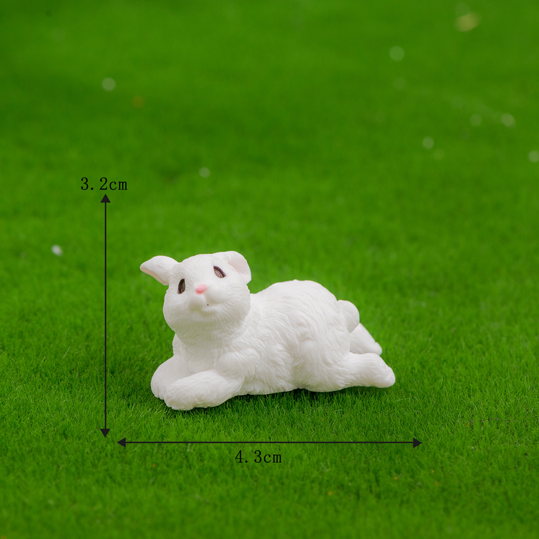 Taille 5 Large, position couchée avec la tête inclinée sur le côté