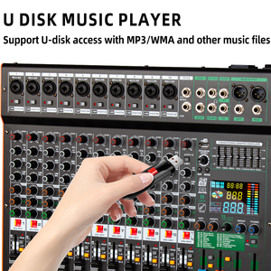 Système de sonorisation professionnel OEM TC12, console audio pour DJ, mixeur 12 canaux pour les performances sur scène - Product Image 5