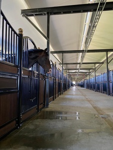 Establo de <span class=keywords><strong>caballos</strong></span> estándar para granja de <span class=keywords><strong>caballos</strong></span> - Product Image 4