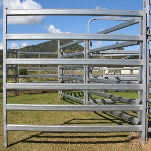Panneaux de corral en acier au carbone pour enclos de chevaux, enclos d'engraissement de corral de bisons, équipement de rodéo de ferme australien moderne - Product Image 3