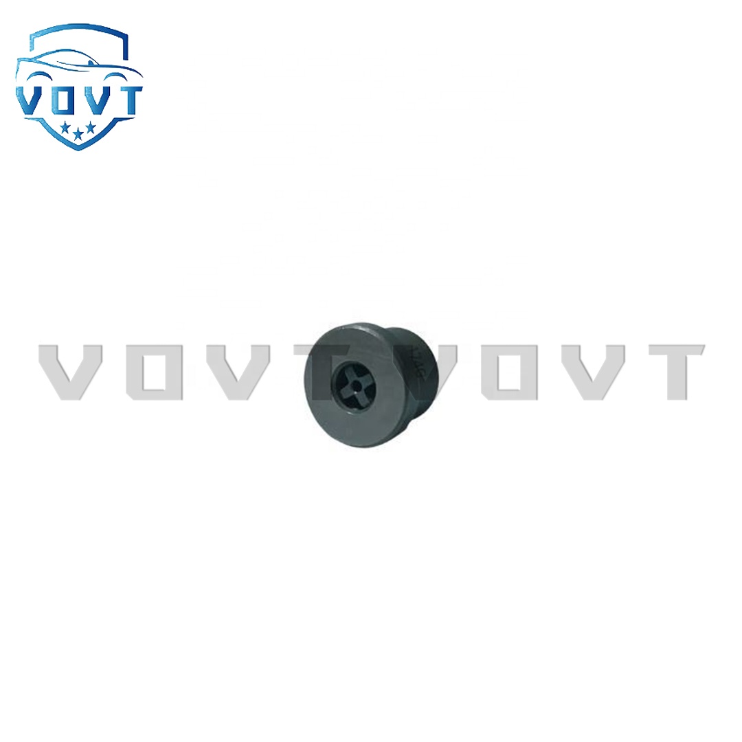New Diesel Engine Spare Parts Fuel Delivery Valve 160A for Auto Parts