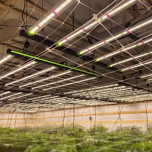 Luz LED para cultivo comercial plegable de espectro completo para plantas de interior