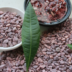 Vente <span class=keywords><strong>en</strong></span> gros de <span class=keywords><strong>gravier</strong></span> rouge arrondi durable, lisse <span class=keywords><strong>et</strong></span> décoratif pour aménagement paysager, jardin, patio, <span class=keywords><strong>allée</strong></span> - Product Image 3