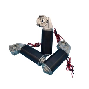 Low Noise DC Worm Reduction Motor 12V 24V 30W-50W Steady Speed for <b>Electric</b> Lifting <b>Desk</b> Use - Product Image 3