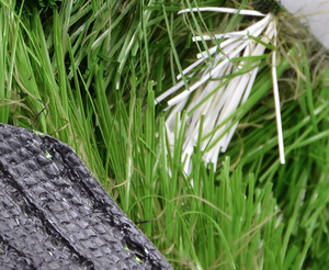 Césped artificial para <span class=keywords><strong>canchas</strong></span> <span class=keywords><strong>de</strong></span> fútbol, mini campo <span class=keywords><strong>de</strong></span> fútbol - Product Image 1