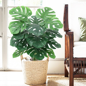 Plante Monstera Artificielle <span class=keywords><strong>D</strong></span>écorative de Bureau Fromage <span class=keywords><strong>Suisse</strong></span> Plante en Pot Plante Tropicale Artificielle de Sol <span class=keywords><strong>D</strong></span>écorative <span class=keywords><strong>d</strong></span>'<span class=keywords><strong>Intérieur</strong></span> - Product Image 1