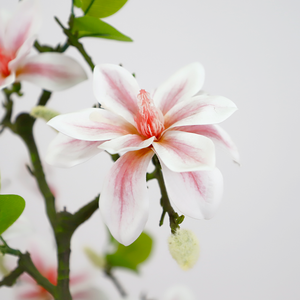 180cm High <b>Artificial</b> Magnolia <b>Tree</b> Realistic Faux Flowering <b>Tree</b> for Home Office Hotel Indoor Decor - Product Image 5