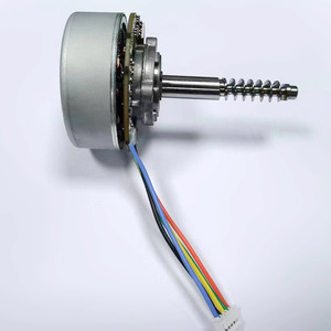 มอเตอร์ไร้แปรงถ่าน Chuanghuada BL4825 12V มอเตอร์ไฟฟ้าขนาดเล็กสำหรับเครื่องนวด เครื่องสลายไขมันหน้าท้อง - Product Image 3