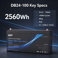 Baterai LiFePO4 Deep Cycle 24V 100Ah Grosir 2560Wh IP66 Bluetooth untuk RV, Kapal, Tenaga Surya, Cadangan Daya Off Grid, 4000 Siklus